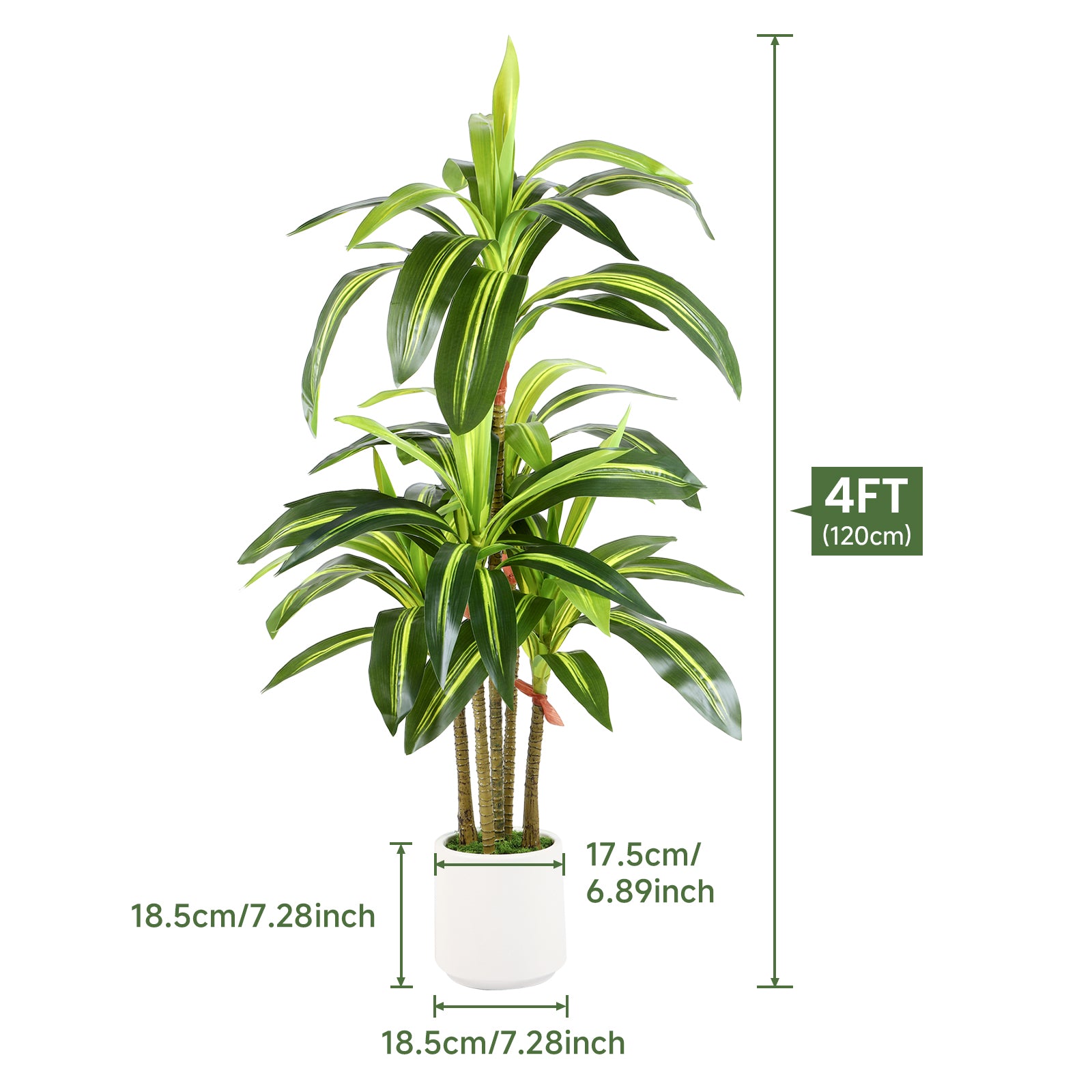 Artificial Dracaena Faux Tree-4FT/5FT/6FT – Alupssuc