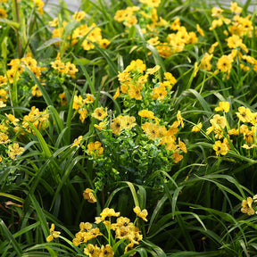 24 Bundles Artificial Flowers for Outdoors Decoration, UV Resistant Silk Violet Faux Colorful Daisy Eucalyptus, Yellow